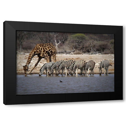 Together At The Bar Black Modern Wood Framed Art Print by Hawerkamp, Hans-Wolfgang