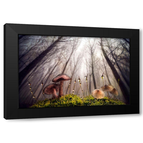 Small And Giant Creatures Of The Woods Black Modern Wood Framed Art Print with Double Matting by Ghizzi Panizza, Alberto