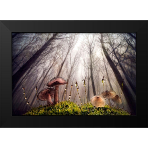 Small And Giant Creatures Of The Woods Black Modern Wood Framed Art Print by Ghizzi Panizza, Alberto