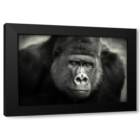 Little Smile .... Black Modern Wood Framed Art Print with Double Matting by Wenner-Braun, Antje