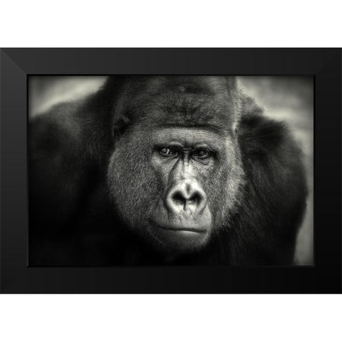Little Smile .... Black Modern Wood Framed Art Print by Wenner-Braun, Antje