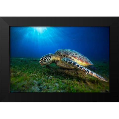 Green Turtle Black Modern Wood Framed Art Print by Gabriel, Barathieu