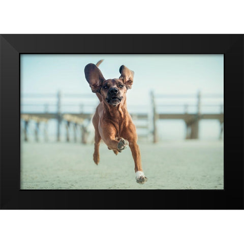 Up-Up To The Sky Black Modern Wood Framed Art Print by Willers, Heike