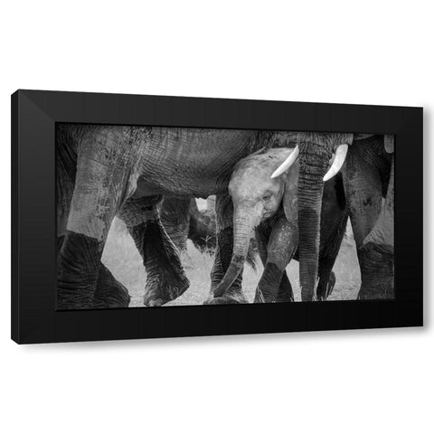 Family Protection Black Modern Wood Framed Art Print by Fan, John