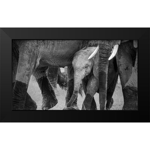 Family Protection Black Modern Wood Framed Art Print by Fan, John