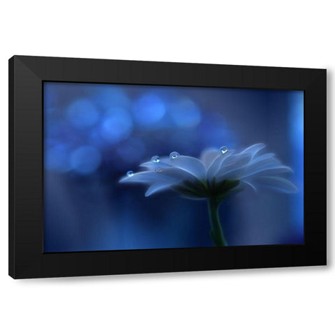 Space Dreams... Black Modern Wood Framed Art Print by Nan, Juliana