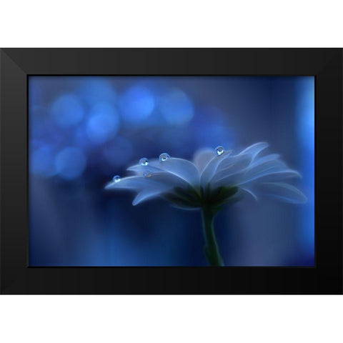 Space Dreams... Black Modern Wood Framed Art Print by Nan, Juliana