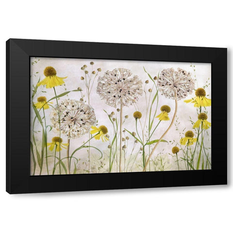 Alliums And Heleniums Black Modern Wood Framed Art Print by Disher, Mandy