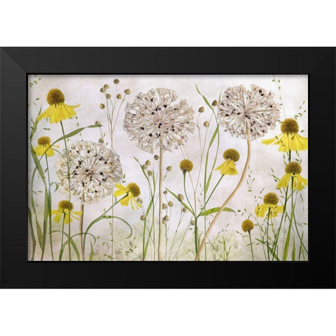 Alliums And Heleniums Black Modern Wood Framed Art Print by Disher, Mandy