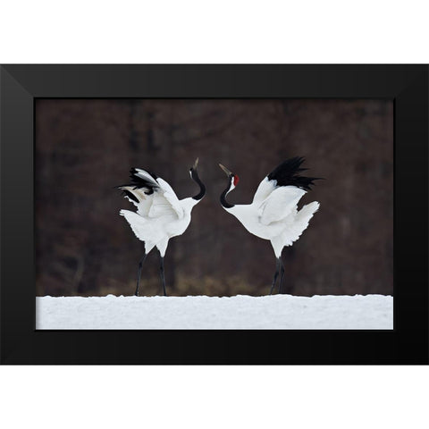 Lovers Black Modern Wood Framed Art Print by Tjandra, C.S.