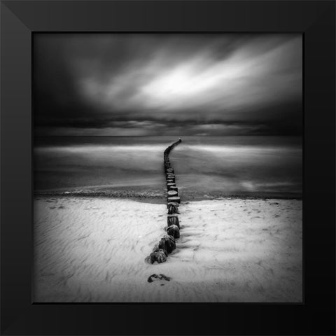 Ssss Black Modern Wood Framed Art Print by Krol, Piotr