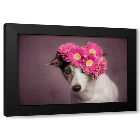 Mrs. Spring Black Modern Wood Framed Art Print by Willers, Heike