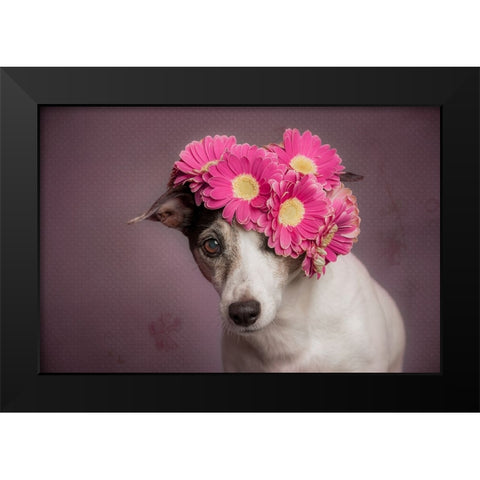 Mrs. Spring Black Modern Wood Framed Art Print by Willers, Heike