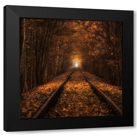 Autumn Tunnel Black Modern Wood Framed Art Print by Uchorczak, Pawel