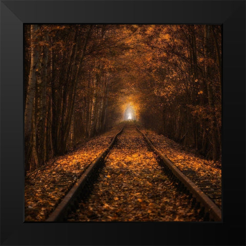 Autumn Tunnel Black Modern Wood Framed Art Print by Uchorczak, Pawel