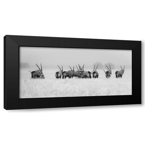 Oryx In The Rain Black Modern Wood Framed Art Print by Trubitsyn, Kirill