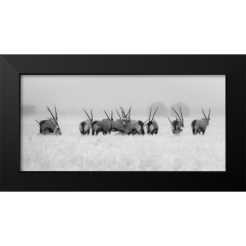 Oryx In The Rain Black Modern Wood Framed Art Print by Trubitsyn, Kirill