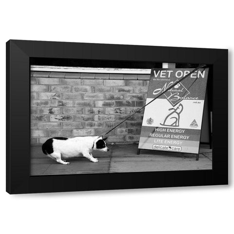No-No.....Definitely No....! Black Modern Wood Framed Art Print with Double Matting by Gugeri, Deborah