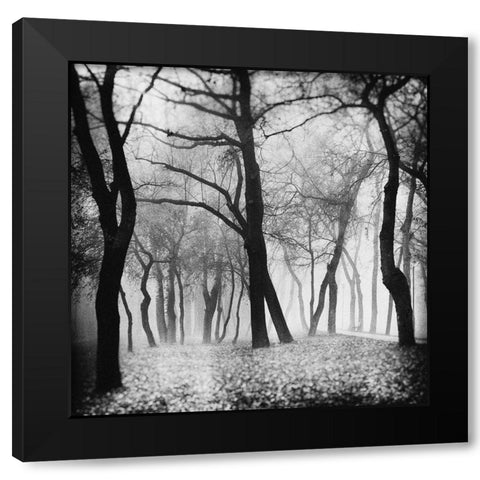 Mystique Black Modern Wood Framed Art Print with Double Matting by Bogdan, Marchevca