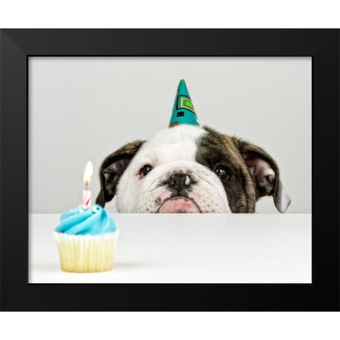 A Little Birthday Black Modern Wood Framed Art Print by Melnotte, Mike