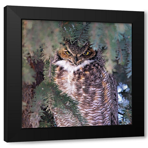 I Am Watching You Black Modern Wood Framed Art Print by Zuo, Jun