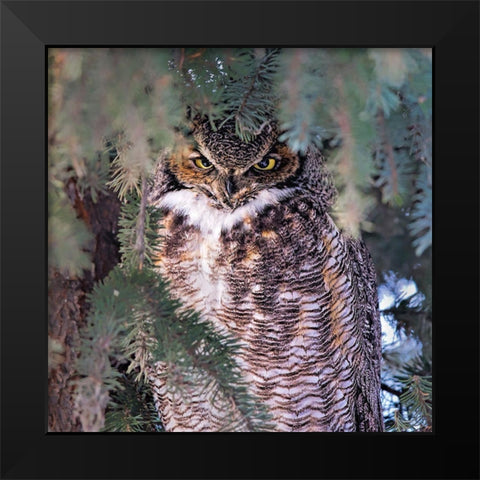 I Am Watching You Black Modern Wood Framed Art Print by Zuo, Jun