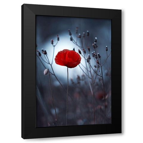 Flower Not By Kenzo. By Me Black Modern Wood Framed Art Print by Bravin, Fabien