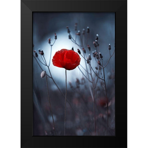 Flower Not By Kenzo. By Me Black Modern Wood Framed Art Print by Bravin, Fabien