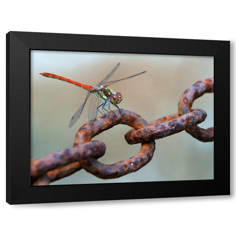 Rusty Black Modern Wood Framed Art Print with Double Matting by Hoffman, Jimmy