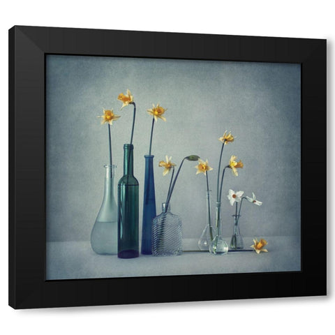 Daffodils Black Modern Wood Framed Art Print with Double Matting by Lazarov, Dimitar