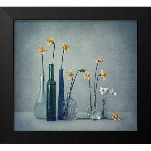 Daffodils Black Modern Wood Framed Art Print by Lazarov, Dimitar