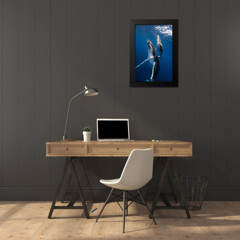 Back To The Surface Black Modern Wood Framed Art Print by Gabriel, Barathieu