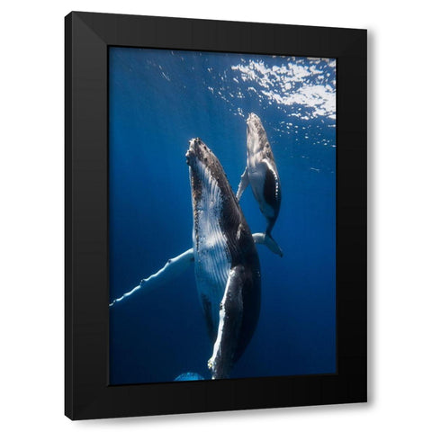 Back To The Surface Black Modern Wood Framed Art Print by Gabriel, Barathieu