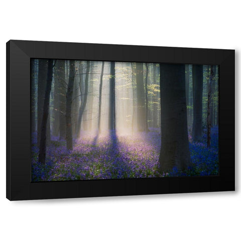 Velvet Light Black Modern Wood Framed Art Print by Popan, Adrian