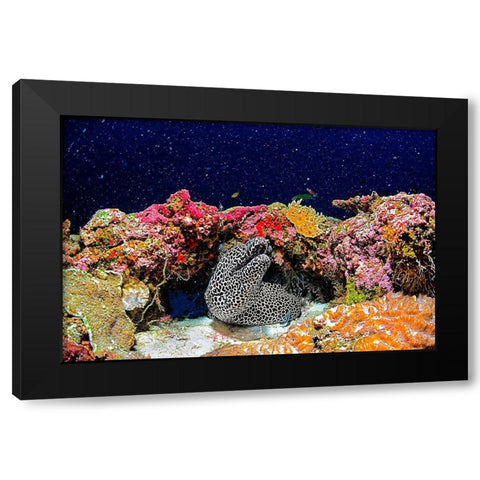 Under The Star Black Modern Wood Framed Art Print with Double Matting by Marchegiani, Roberto