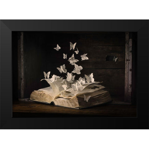 Lepidopterology Black Modern Wood Framed Art Print by Bonadio, Heather