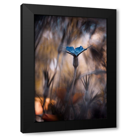 The Blue Crown Black Modern Wood Framed Art Print with Double Matting by BRAVIN, Fabien