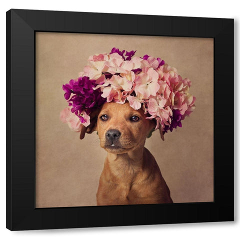 Lady Black Modern Wood Framed Art Print with Double Matting by Swarek, Tammy