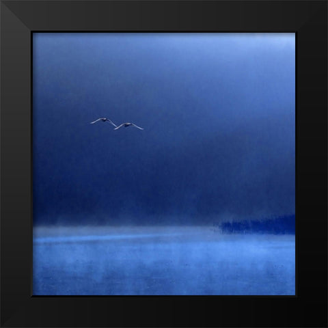 Swans Black Modern Wood Framed Art Print by Michalowski, Marcin