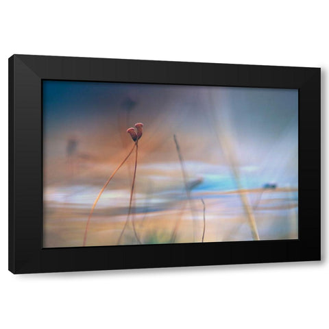 April Love Black Modern Wood Framed Art Print with Double Matting by Marthinussen, Willy