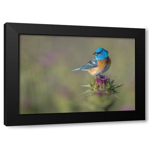 Blowin In The Wind Black Modern Wood Framed Art Print by Barsh, Greg