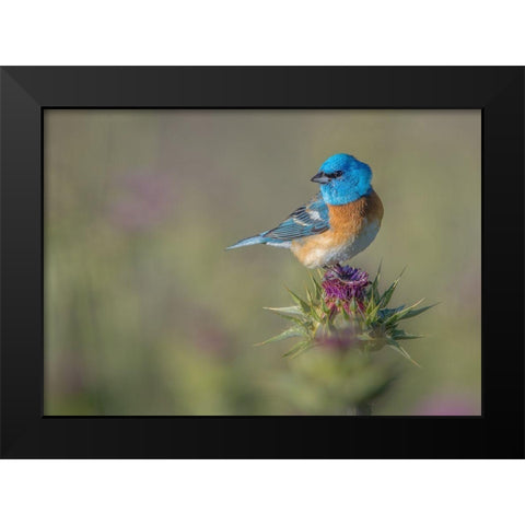 Blowin In The Wind Black Modern Wood Framed Art Print by Barsh, Greg