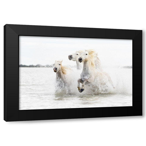 Horses  Hight Key Black Modern Wood Framed Art Print with Double Matting by De Simone, Ciro