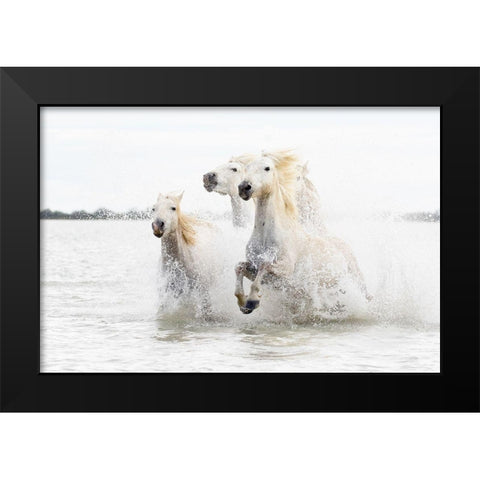 Horses  Hight Key Black Modern Wood Framed Art Print by De Simone, Ciro