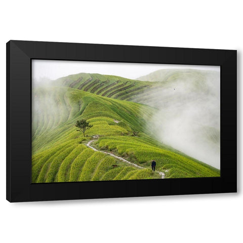 Pingan Rice Terraces Black Modern Wood Framed Art Print by Pavlin, Miha