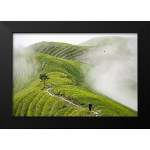 Pingan Rice Terraces Black Modern Wood Framed Art Print by Pavlin, Miha