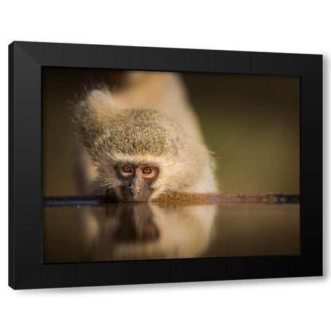 Attentive Black Modern Wood Framed Art Print with Double Matting by Marx, Jaco