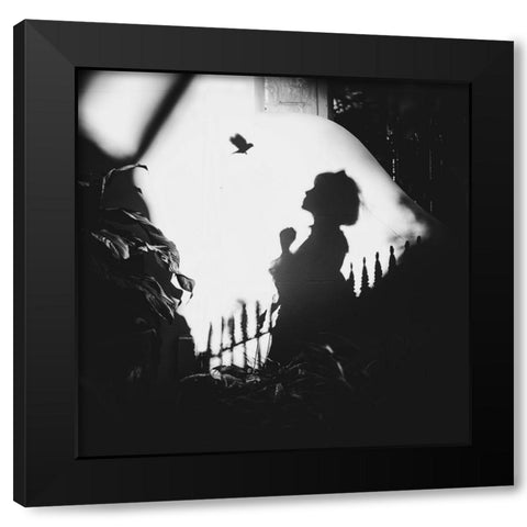 Shadows On The Wall Black Modern Wood Framed Art Print with Double Matting by F, Terry