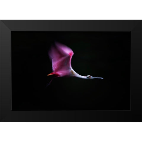 Rose In The Air Black Modern Wood Framed Art Print by Chang, Phillip