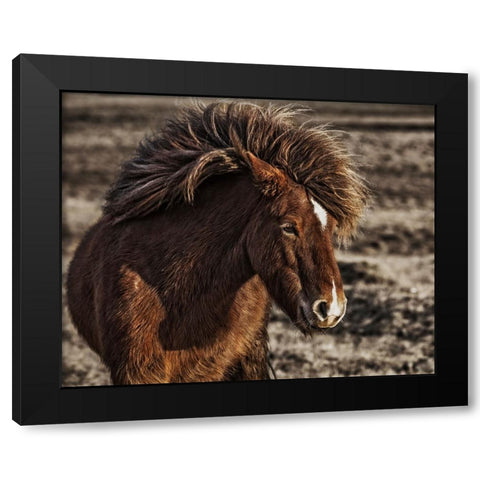 Windblown Black Modern Wood Framed Art Print by Ingibergsson, Bragi